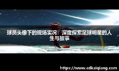 bellbet贝博体育